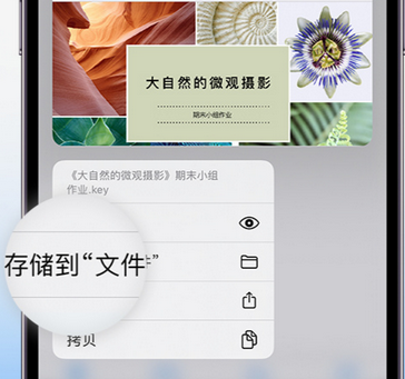 黄南apple维修中心分享iPhone文件应用中存储和找到下载文件