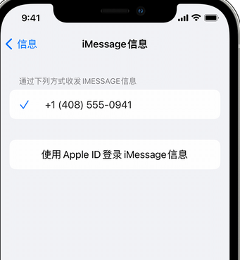 黄南apple维修iPhone上无法正常发送iMessage信息 