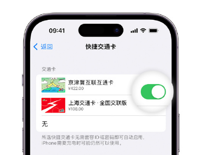 黄南apple维修点分享iPhone上更换Apple Pay快捷交通卡手绘卡面 