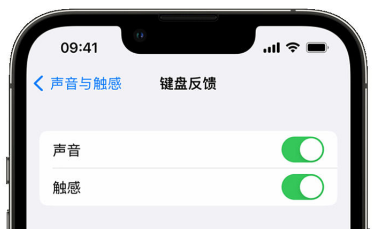 黄南苹果手机维修分享iPhone 14触感键盘使用方法 