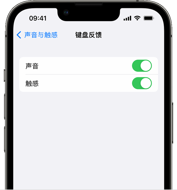 黄南苹果14维修店分享如何在 iPhone 14 机型中使用触感键盘 