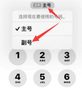 黄南苹果14维修店分享iPhone 14 Pro Max使用副卡打电话的方法 