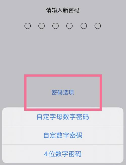 黄南苹果14维修分享iPhone 14plus设置密码的方法 