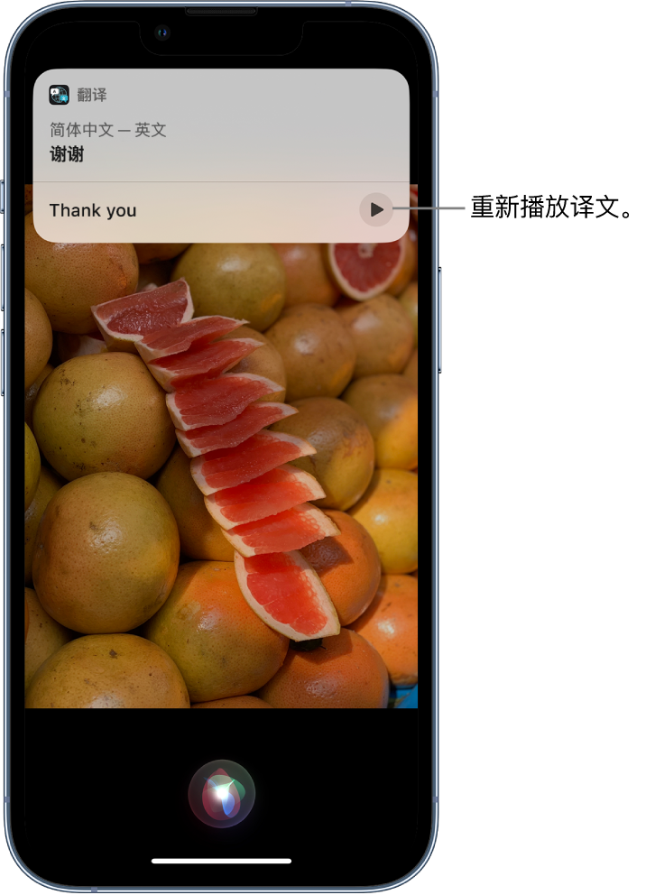 黄南苹果14维修分享 iPhone 14 机型中使用 Siri：了解 Siri 能帮你做什么 