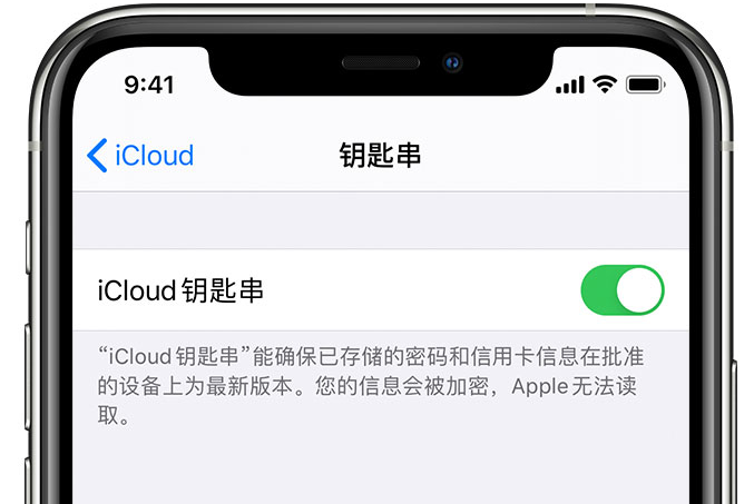 黄南苹果手机维修分享在 iPhone 上开启 iCloud 钥匙串之后会储存哪些信息 