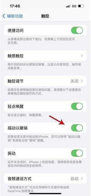 黄南苹果手机维修分享iPhone手机如何设置摇一摇删除文字 