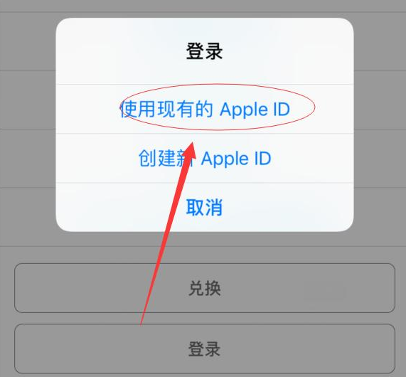 黄南苹果手机维修分享两台iPhone设备可以同时登录一个Apple ID吗 