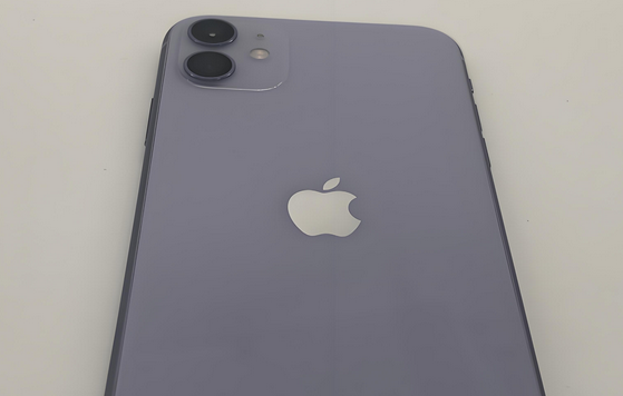 黄南苹果11系统维修分享iPhone11手机系统崩溃无法开机如何解决 